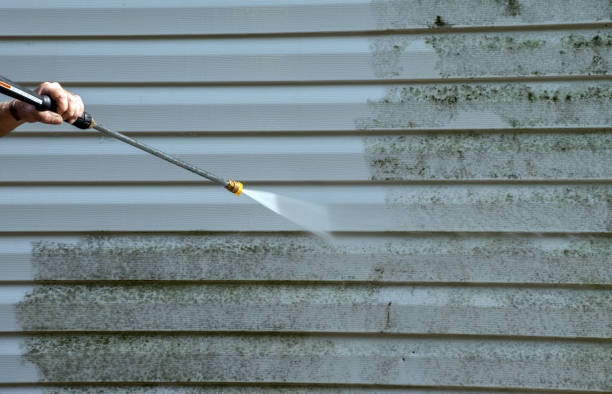 Best Mold Cleaning Services  in Rose Hill, VA