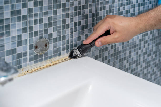 Best Mold Remediation Services  in Rose Hill, VA
